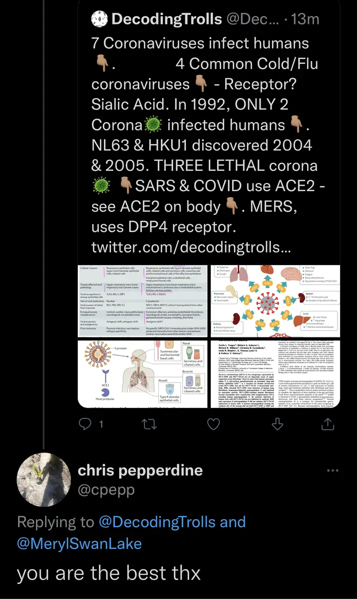 Impact attestation 8