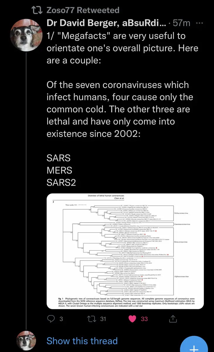 Impact attestation 16