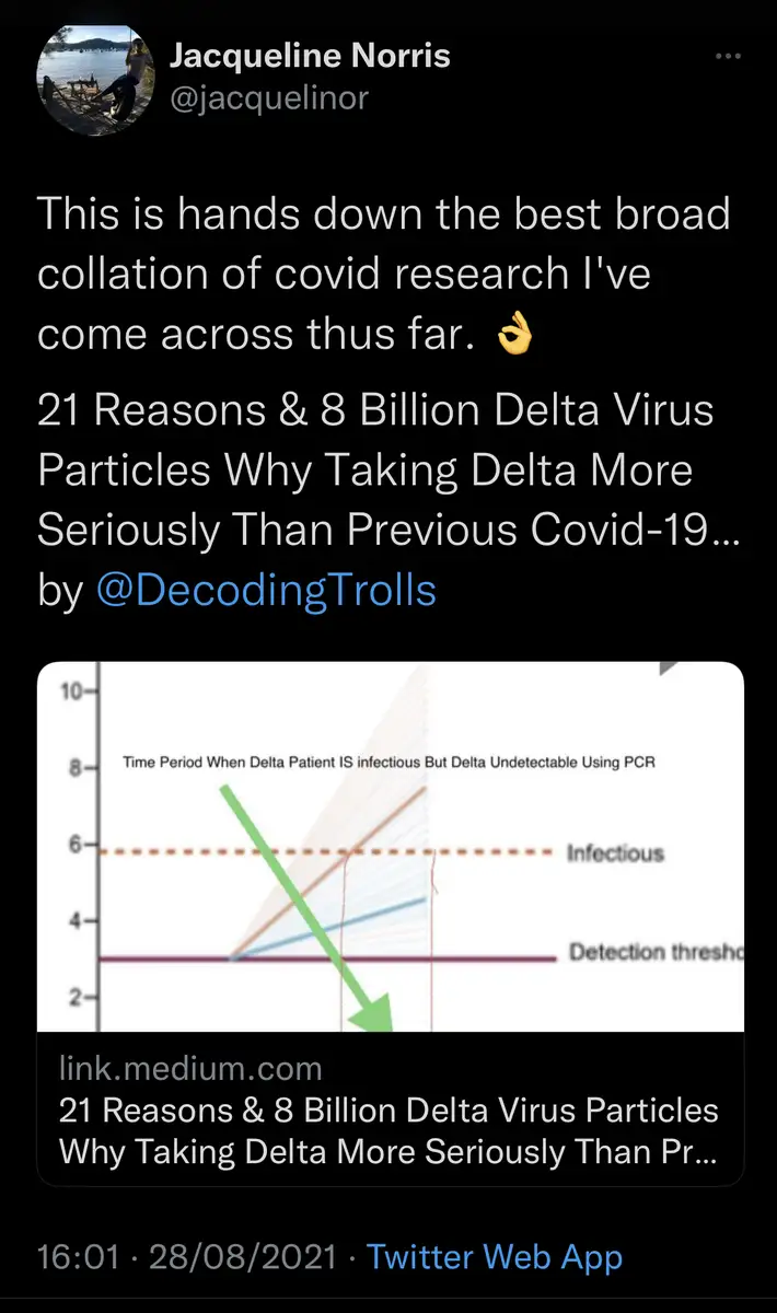 Impact attestation 29